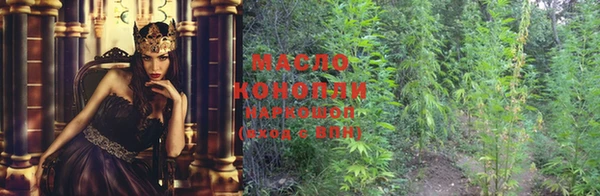 2c-b Снежинск