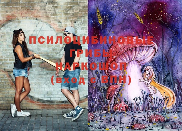 mix Зерноград