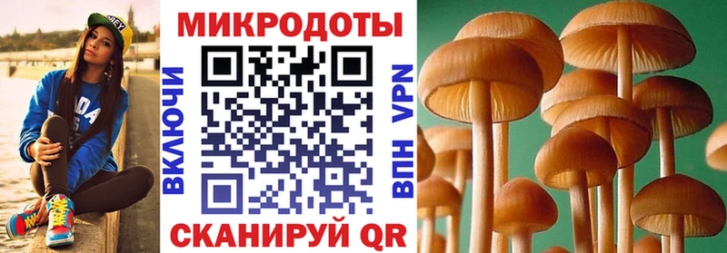 Купить  Тетюши  Галлюциногенные грибы MAGIC MUSHROOMS 